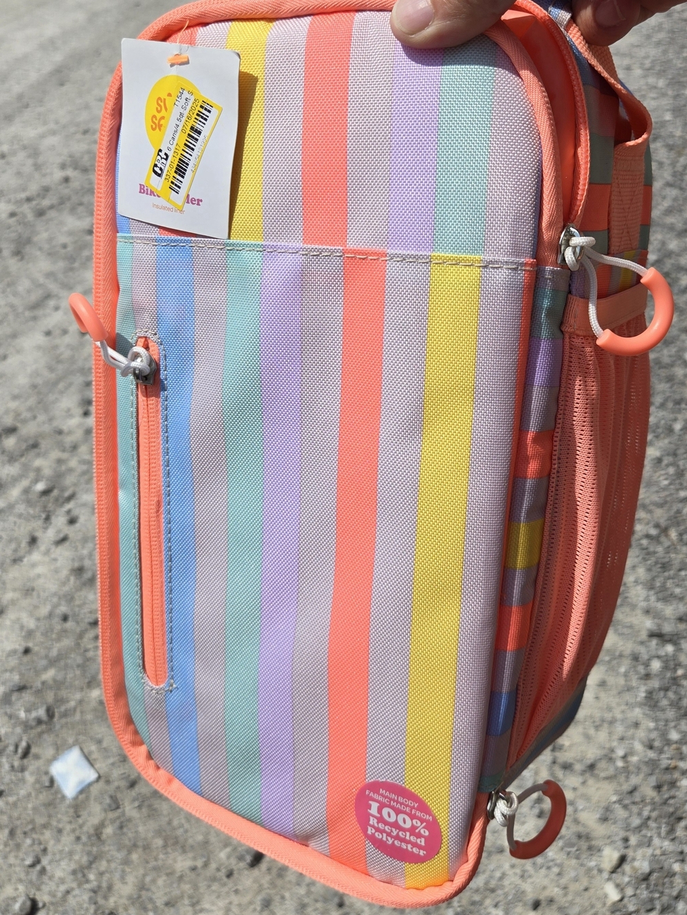 Striped Pastel Lunch Bag with Coral Trim/Bicycle Cooler Insilated